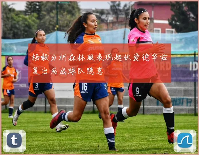 杨毅分析森林狼表现起伏爱德华兹复出或成球队隐患