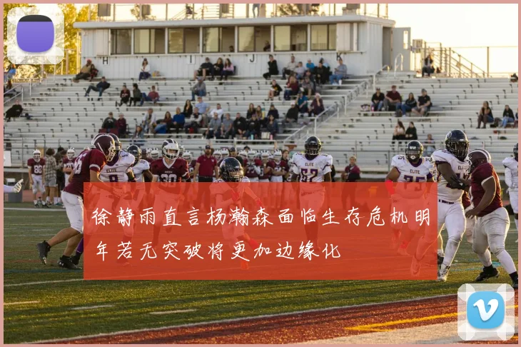 徐静雨直言杨瀚森面临生存危机明年若无突破将更加边缘化